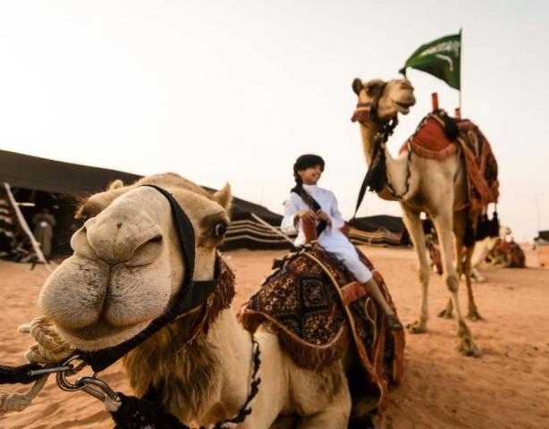 السعودية تستلهم من البداوة شعارا لأشهر مهرجان إبل عالميا