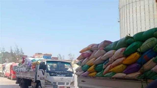 «تموين كفر الشيخ»: توريد 165 ألفًا و407 أطنان قمح حتى الآن