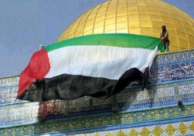  شاهد: جداريات ولوحات فنية تجسد معاناة الشعب الفلسطيني.. فيديو
