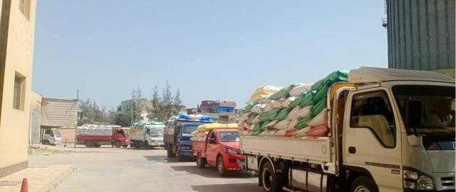 توريد 175051طنا و120 كيلو أقماح بـ20 موقعا بكفر الشيخ