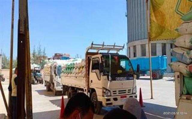 توريد 175 ألفاً و801 طن لصوامع وشون كفر الشيخ