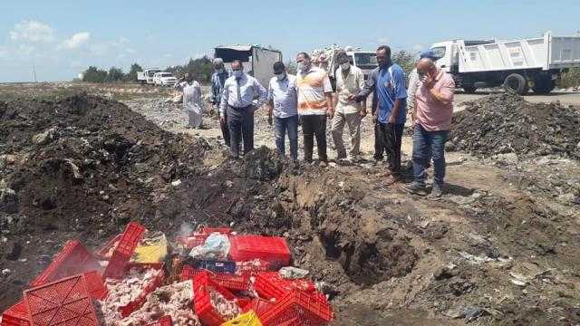 إعدام طن و506 كيلو دواجن غير صالحة بمطوبس