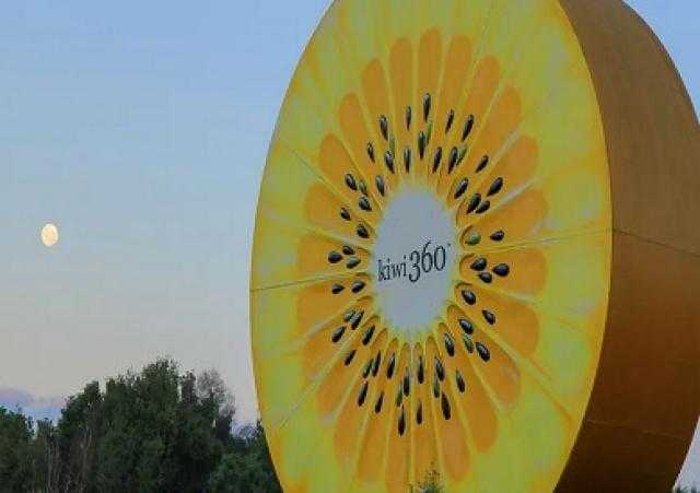 حرب الكيوى أحدث التحديات في وجه نيوزلندا مقابل العملاق الصيني