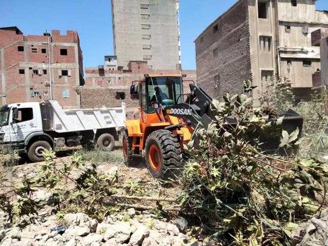 حملات نظافة موسعة ورفع كفاءة الإنارة بقرى الحامول.. صور
