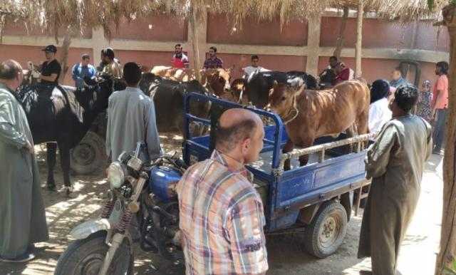 قافلة بيطرية ينظمها معهد التناسليات الحيوانية في القرى الأكثر احتياجا بالفيوم