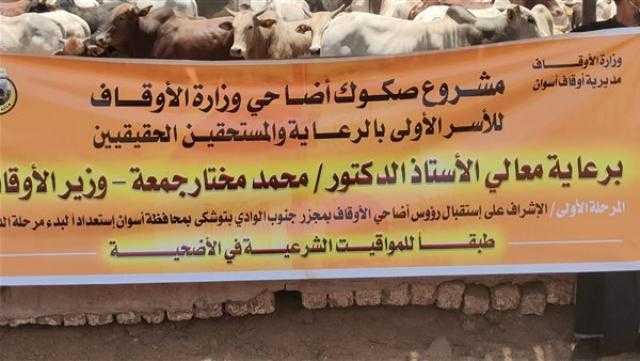 الأوقاف: وصول الدفعة الثانية من رؤوس الأضاحي لمجزر أبي سمبل بأسوان