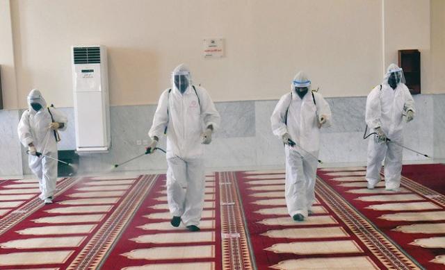 أرشيفية