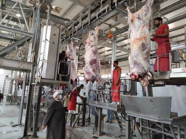 الزراعة: ذبح أكثر من 7500 أضحية مجانا في أول أيام عيد الأضحى.. فيديو