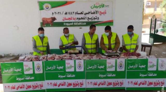 محافظ أسيوط: ذبح وتوزيع لحوم 40 عجل بلدي على الأسر المستحقة والأولى بالرعاية