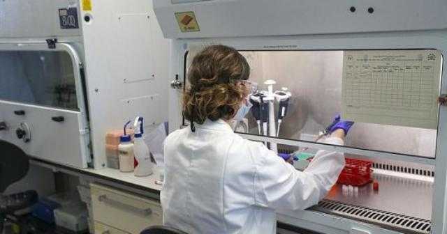 فينجروب تجري محادثات مع شركة «اركتوروس» حول تكنولوجيا لقاحات كورونا