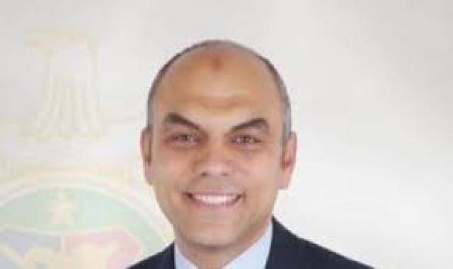 محمد همام، نائب رئيس نادي الصيد