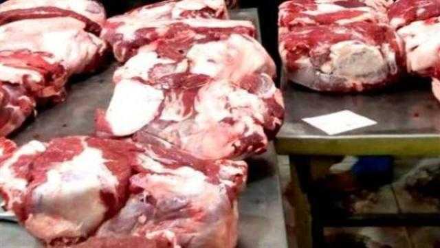 «بيطري الشرقية»: ضبط 2.7 طن لحوم وأسماك مجهولة داخل ثلاجتين في بلبيس