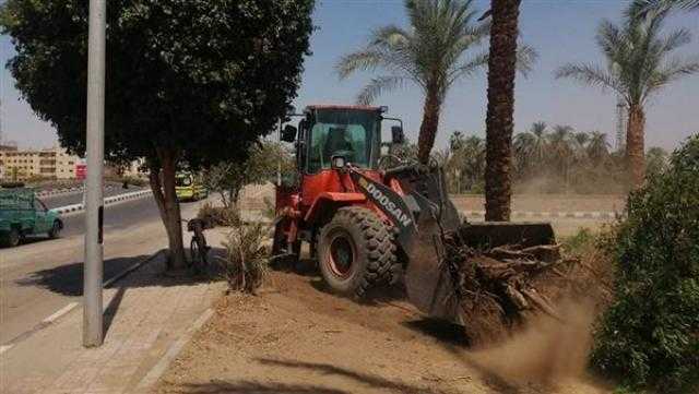 رئيس «مدينة الأقصر» يتفقد تطوير ورفع كفاءة حدائق الشوارع