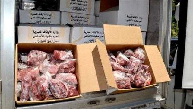 الأوقاف: توزيع 19 طن لحوم أضاحٍ على الأسر المستحقة بـ7 محافظات.. غدا