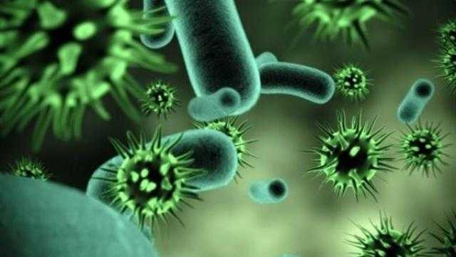 الصحة العالمية تطلق إنذارًا طارئًا بعد وفاة رجل بفيروس جديد شديد العدوى