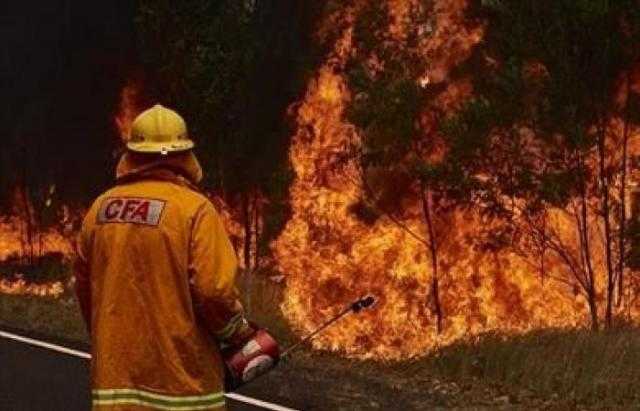 السيطرة جزئيا على حرائق غابات غرب أثينا