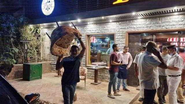 الجيزة.. رفع 255 حالة إشغال للمحال والمقاهي بالهرم والعمرانية والطالبية