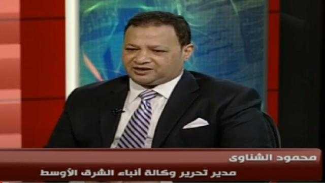 محمود الشناوي: ميكنة الجمارك تغلق أبواب الفساد.. فيديو
