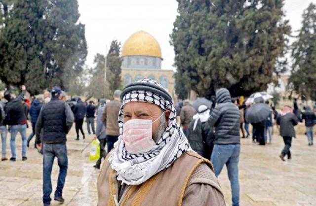 فلسطين: 11 حالة وفاة و2483 إصابة جديدة بفيروس كورونا