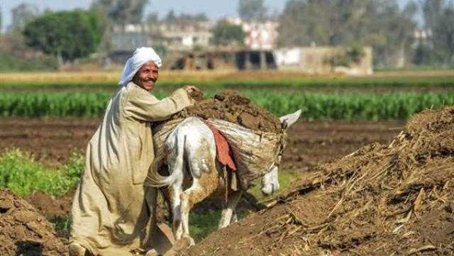 في عيده السنوي الـ69.. كيف ساهمت الدولة في تطوير حياة الفلاح المصري؟ (إنفوجراف)