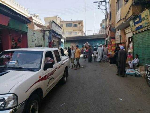 جولات مستمرة لتجميل شوارع الأقصر استعدادا للموسم السياحي الجديد.. صور