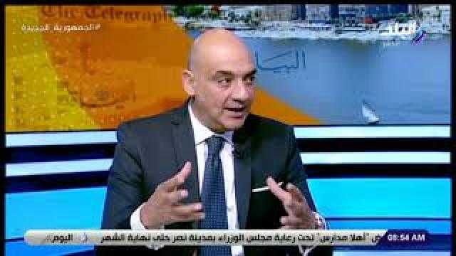 جميل عفيفي: مصر تلعب دورًا كبيرًا في استقرار ليبيا.. فيديو