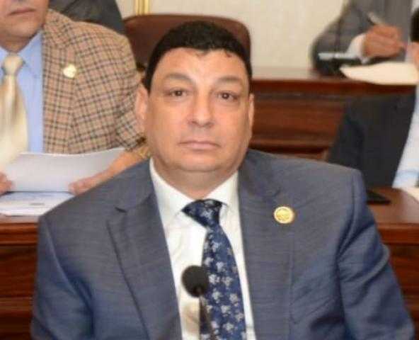 سامي نصر الله: كلمة السيسي في قمة جدة كشفت محورية مصر في كافة ملفات المنطقة