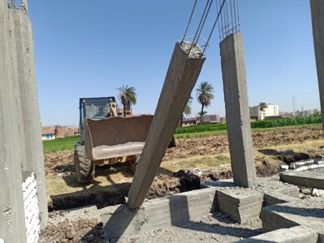 ارشيفية