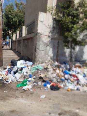 أهالي سموحة يناشدون محافظ الإسكندرية بسبب تراكم القمامة وانتشار الأوبئة