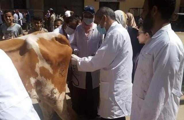 محافظ أسيوط: قافلة بيطرية مجانية بقرية المشايعة ضمن مبادرة ”حياة كريمة”