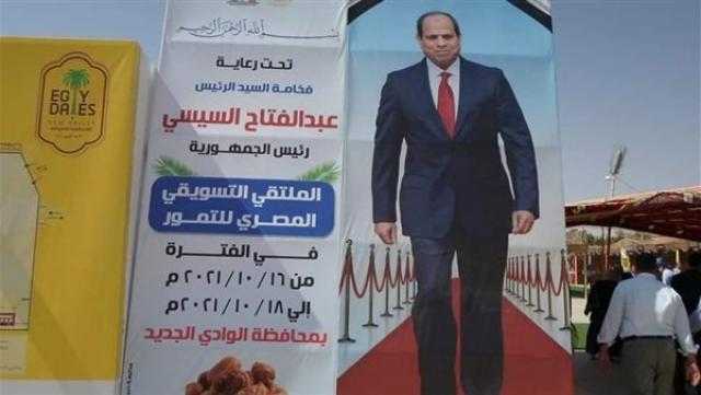 الانتهاء من المرحلة الثانية لمحور الجنوب في الوادي الجديد
