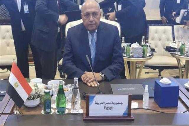 إجراء الانتخابات الليبية في موعدها ومراقبة إتمام خروج القوات الأجنبية.. تفاصيل كلمة ”شكري” في المؤتمر الوزاري بطرابلس