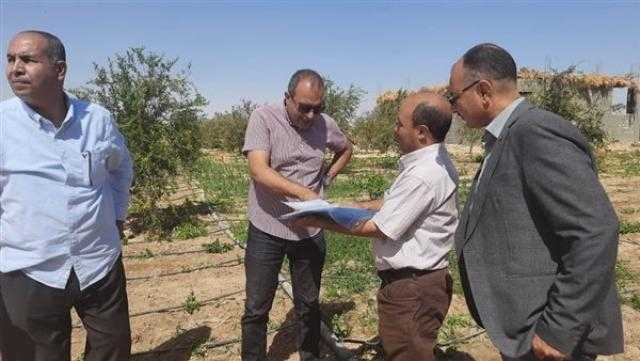 استكمال أعمال الإجراءات اللازمة لتقنين أراضي أملاك الدولة بأسيوط