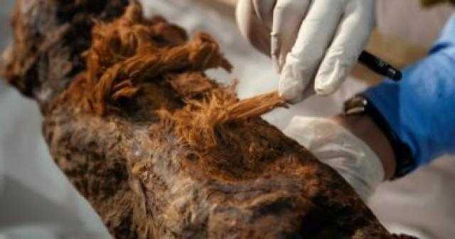 أوبزرفر: اكتشاف يرجح استخدام المصريين أساليب تحنيط متطورة قبل ألف عام