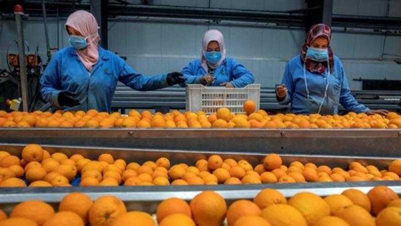 ”الزراعة” تعلن ارتفاع صادرات مصر الزراعية لـ 5.2 مليون طن خلال النصف الأول من العام الجاري