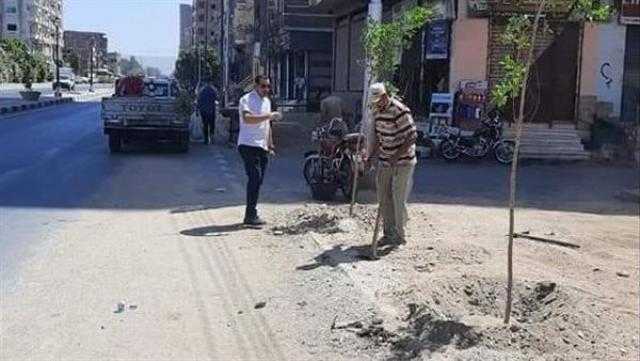 تشجير الطرق الرئيسية والشوارع ومحيط المدارس بأخميم
