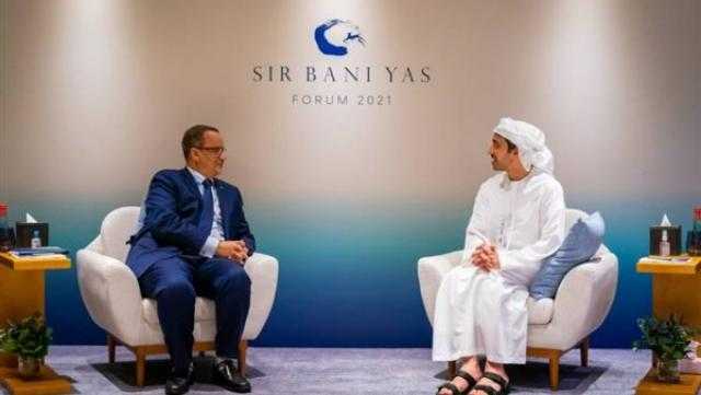 وزيرا خارجية الإمارات وموريتانيا يبحثان العلاقات الثنائية