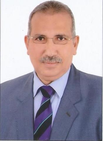 عادل عامر - ارشيفية 
