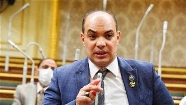 برلماني: الدولة تضع الصناعة كأولوية قصوى في المرحلة الراهنة