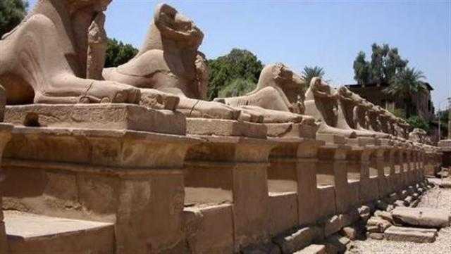 العالم يترقب.. عد تنازلي لافتتاح طريق الكباش أقدم ممر في التاريخ