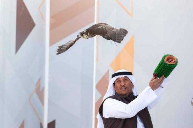 أوروبيون وعرب يسافرون بصقورهم إلى السعودية للمشاركة بمهرجان الملك عبدالعزيز