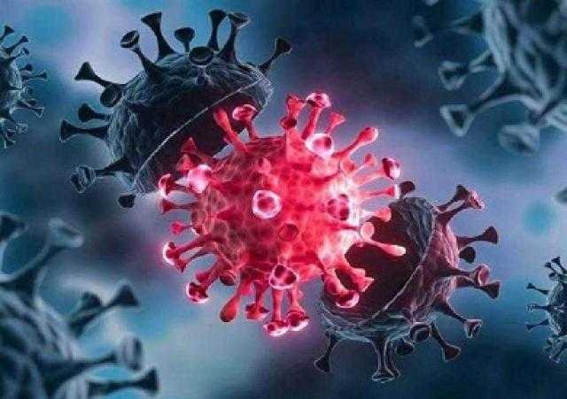 هيئة الصحة الأوروبية يلمح إلى سرعة انتشار أوميكرون مطلع 2022