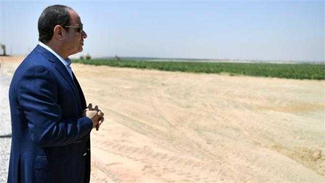 طفرة في أسعار القطن وتحديد ثمن القمح.. أبرز إنجازات «الزراعة» في 2021