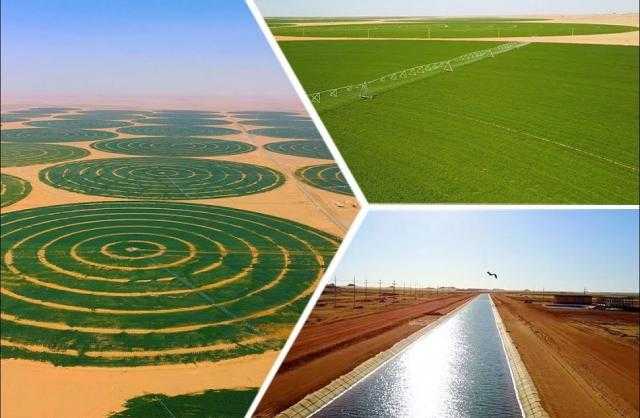 وزير الزراعة عن ”توشكى”: كل العاملين في المشروعات من أبناء الصعيد