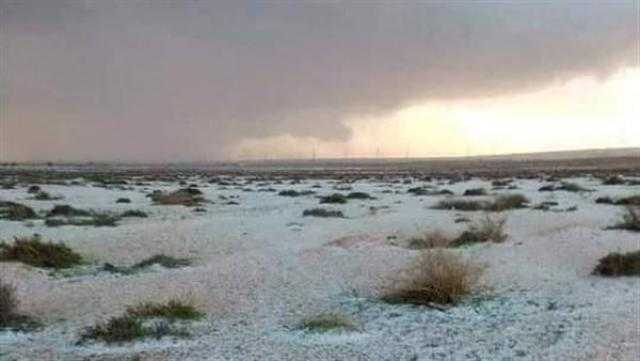بعد التغيرات المفاجئة في الطقس.. محافظ مطروح يقرر تعطيل الدراسة