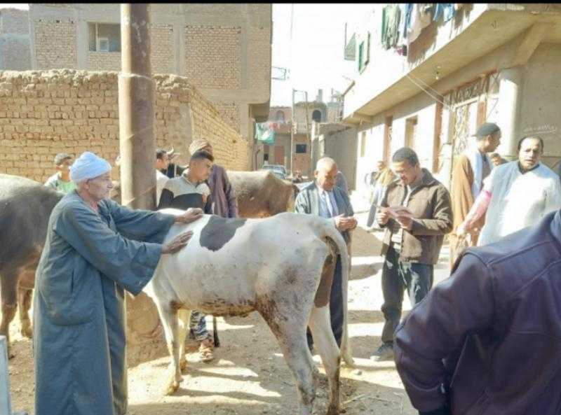 الطب البيطري بالجيزة ينظم قوافل بيطرية مجانية بأبو النمرس والبدرشين