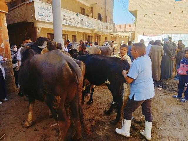 ضمن حياة كريمة.. محافظ أسيوط: قافلة بيطرية مجانية بقرية بني زيد الأكراد بمركز الفتح.. صور