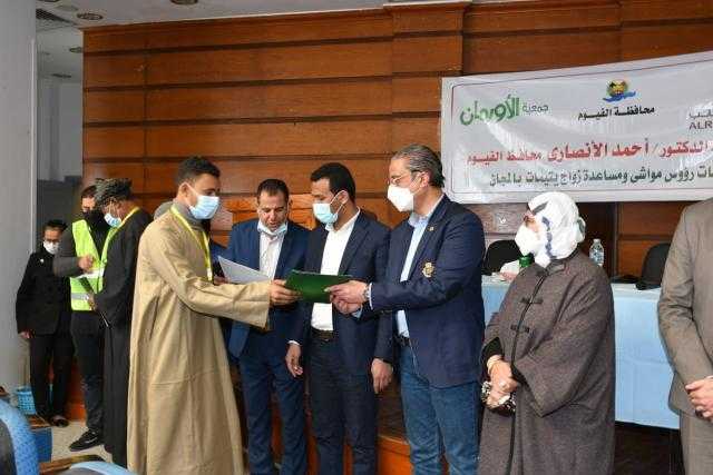 تسليم مساعدات مالية للعرائس اليتيمات ورؤوس ماشية للأولى بالرعاية في الفيوم