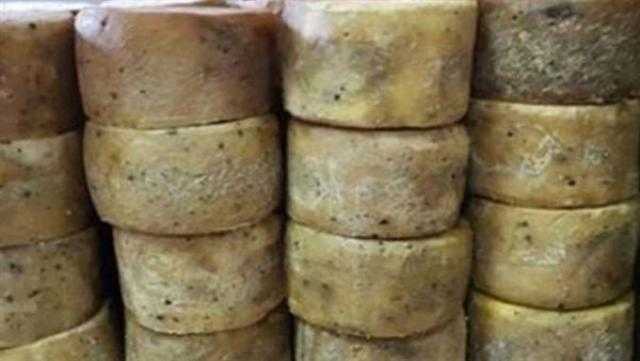 532 كيلو جبن رومي فاسد في الإسكندرية