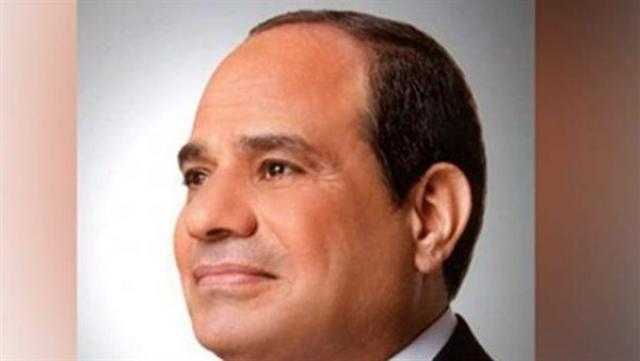 متحدث الرئاسة: مشاركة الرئيس السيسي بقمة «محيط واحد» نتيجة جهود مصر للحفاظ على البيئة